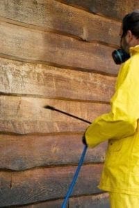 Pressure washer cleaning